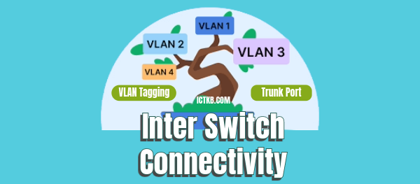 Interswitch Connectivity | VLAN Tagging | Trunk Port